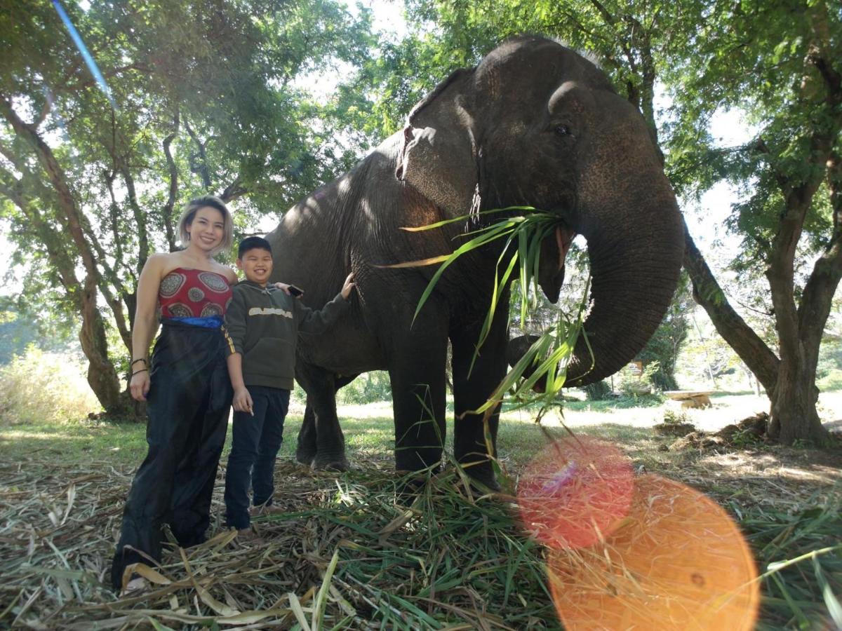 Sappraiwan Elephant Resort & Sanctuary Kaengsopha Luaran gambar